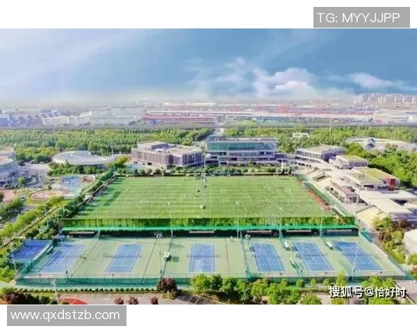 西安网球队的阵地战策略与发展前景深度分析 西安网球队的阵地战策略与发展前景深度分析