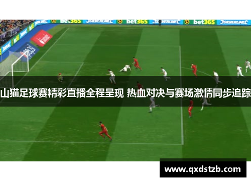 山猫足球赛精彩直播全程呈现 热血对决与赛场激情同步追踪