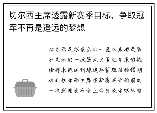切尔西主席透露新赛季目标，争取冠军不再是遥远的梦想