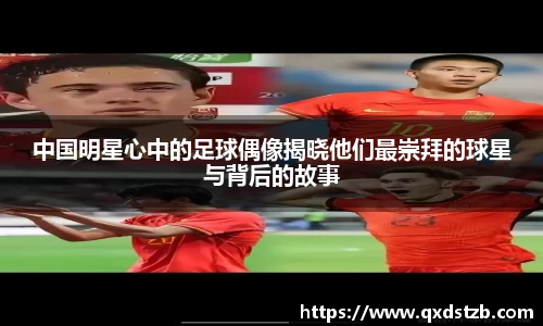 球王会体育app入口